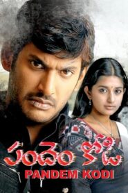 Pandem Kodi (2005) Telugu DVD9 UNTOUCHED – [480p, 1080p, 720p, 576p, 480p] – AVC – (DD5.1 – 448Kbps) – ESub