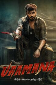 Vaamana (2025) TRUE WEB-DL – [1080p, 720p, 576p] – AVC/HEVC – (DD+5.1 – 640Kbps) [Telugu + Tamil + Hindi] – ESub
