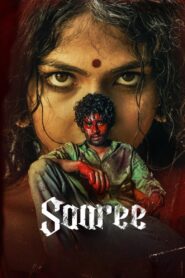 Saaree (2025) TRUE WEB-DL – [1080p, 720p, 576p] – AVC – [Hindi + Malayalam] – AAC – ESub