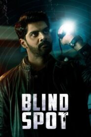 Blind Spot (2025) Telugu TRUE WEB-DL – [1080p, 720p] – AVC/HEVC – (DD+5.1 – 640Kbps & AAC) – ESub