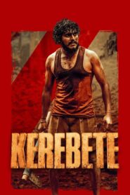 Kerebete (2025) Kannada HQ HDRips – [1080p, 720p, 576p] – x264 – (DD+5.1 – 640Kbps & AAC) – ESub
