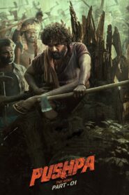 Pushpa – The Rise (2021) Telugu AMZN WEB-DL – [4k-2160p, 1080p, 720p, 576p, 480p] – HEVC/AVC – (DD+ 5.1 – 640Kbps AAC 2.0) – ESubs