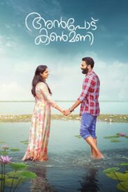 Anpodu Kanmani (2025) Tamil TRUE WEB-DL – [1080p, 720p, 576p] – AVC – AAC – ESub