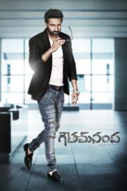 Goutham Nanda (2017) Telugu AMZN WEB-DL – [1080p, 720p, 576p, 480p] – AVC/HEVC – [DD+2.0 – 224kbps] – Esub