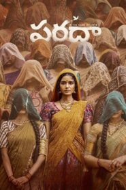 Paradha (2025) Telugu TRUE WEB-DL – [1080p, 720p, 576p] – AVC – (DD+5.1 – 640Kbps & AAC) – ESub