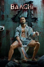 Baaghi 4 (2025) Hindi TRUE WEB-DL – [4K-2160p, 1080p, 720p, 576p] – HEVC/AVC – (DD+5.1 – 640Kbps & AAC) – ESub – Free Download
